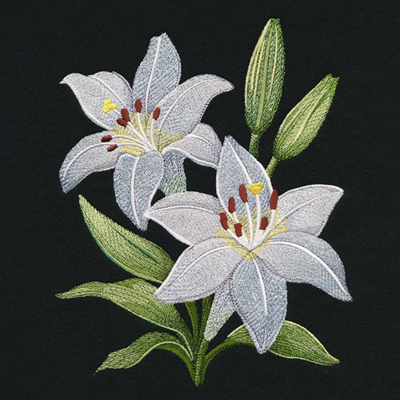 Easter Lily Blooms|8.35″ x 6.89″ / 212.05mm x 175.09mm|7.07″ x 5.87″ / 179.64mm x 148.99mm|5.86″ x 4.84″ / 148.95mm x 122.98mm|All Sizes