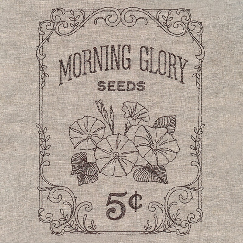 Flower Garden Seed Packet – Morning Glories