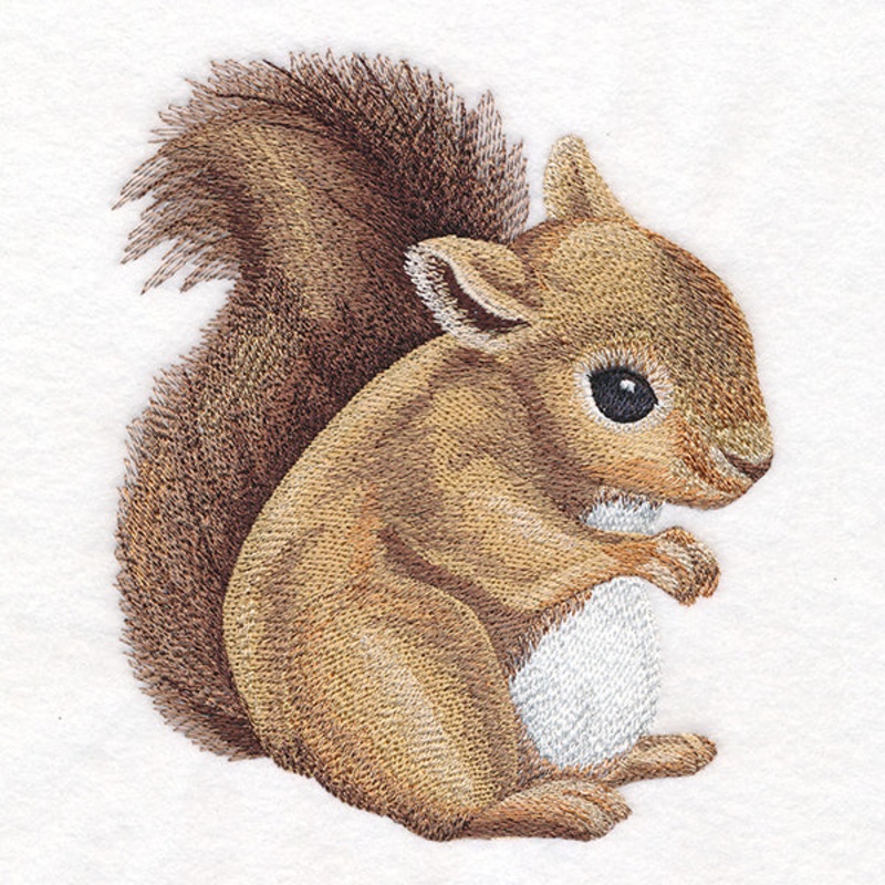 Sweet Baby Squirrel|6.43″ x 5.42″ / 163.36mm x 137.75mm|5.35″ x 4.5″ / 135.77mm x 114.37mm|3.9″ x 3.27″ / 98.96mm x 83.09mm|All Sizes
