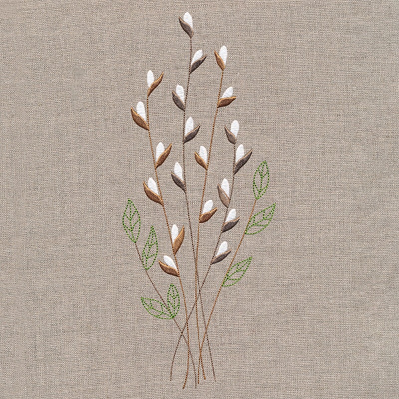 Delicate Pussy Willow Branches