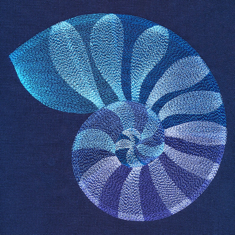Beautiful Shark Eye Shell|6.85″ x 7.31″ / 173.92mm x 185.63mm|5.85″ x 6.24″ / 148.54mm x 158.53mm|4.85″ x 5.17″ / 123.1mm x 131.43mm|3.61″ x 3.85″ / 91.63mm x 97.79mm|All Sizes