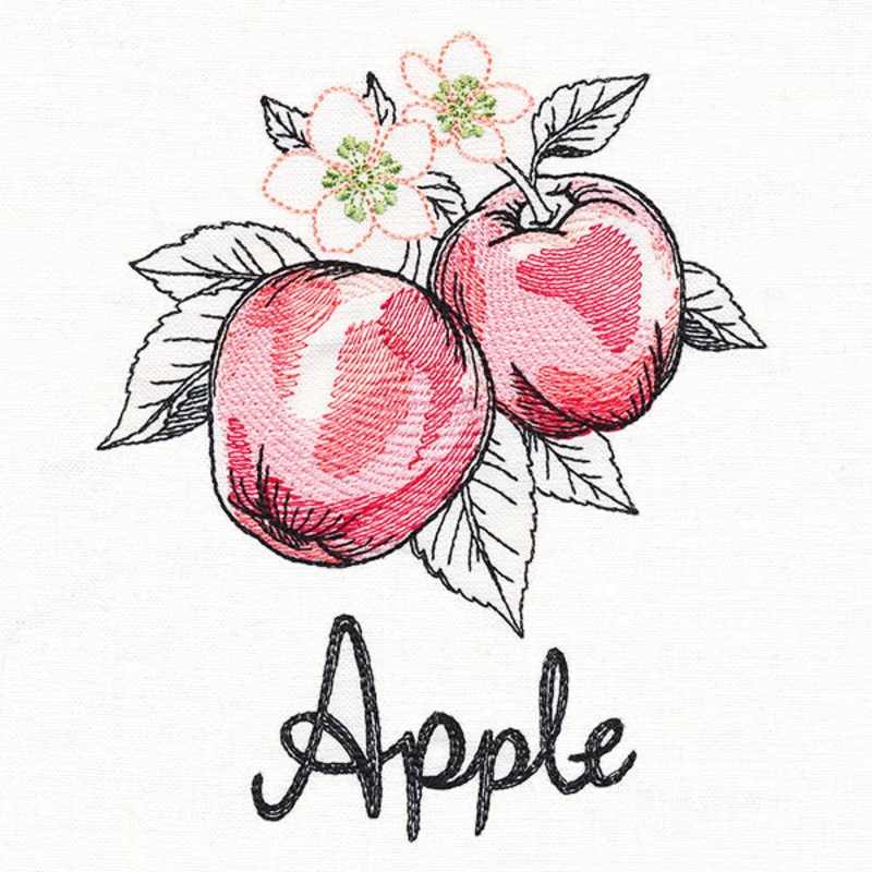 Botanical Fruits & Flowers – Apples