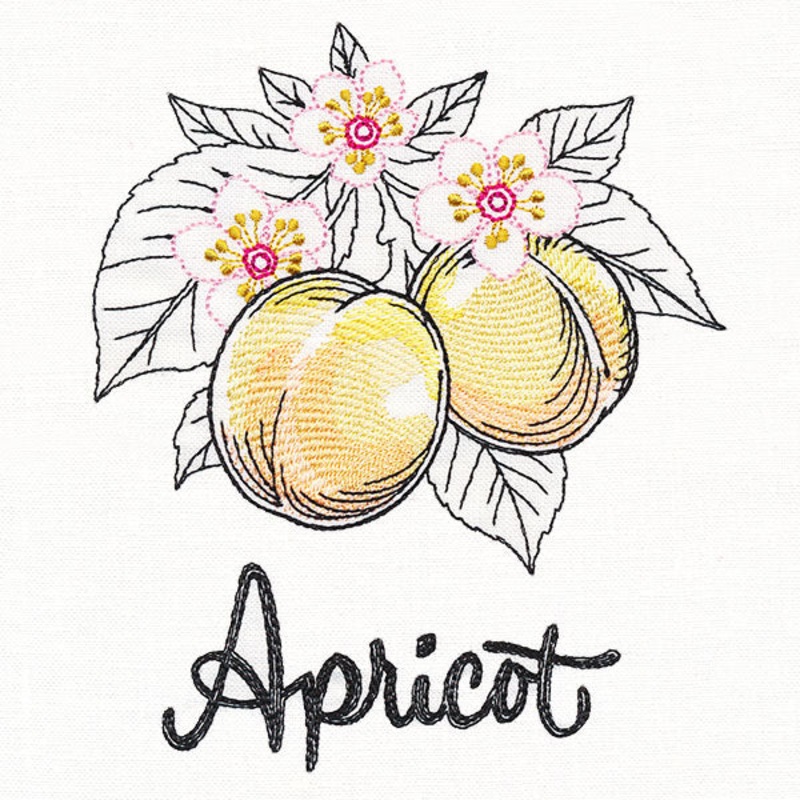 Botanical Fruits & Flowers – Apricots