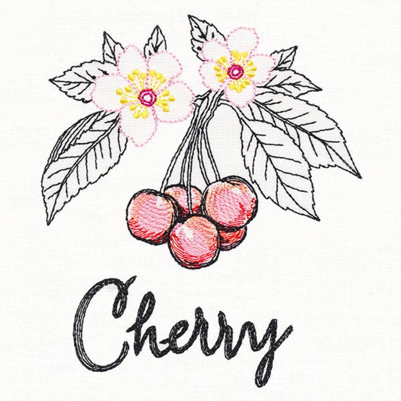 Botanical Fruits & Flowers – Cherries