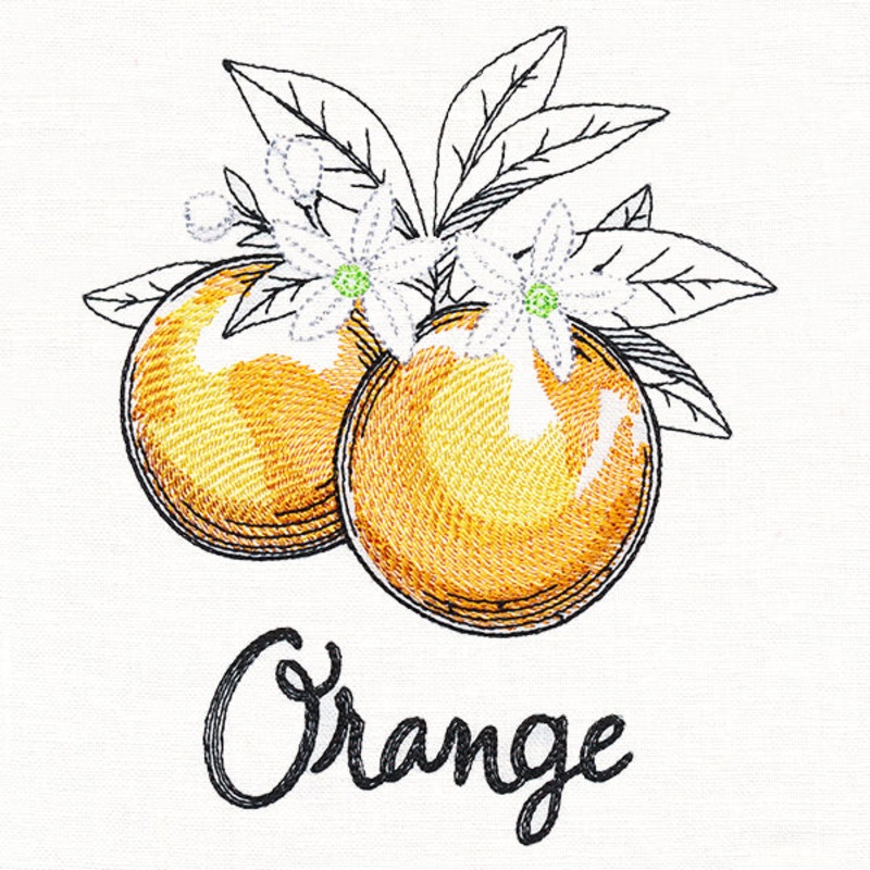 Botanical Fruits & Flowers – Oranges