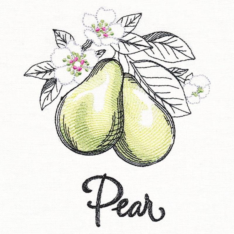 Botanical Fruits & Flowers – Pears
