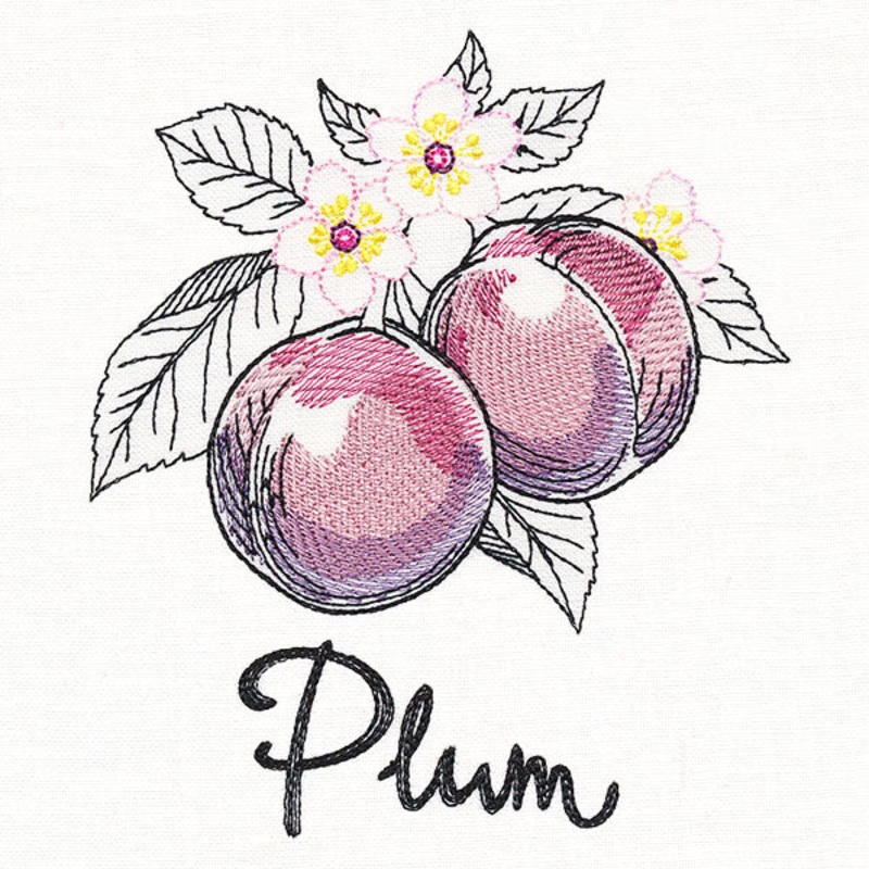 Botanical Fruits & Flowers – Plums