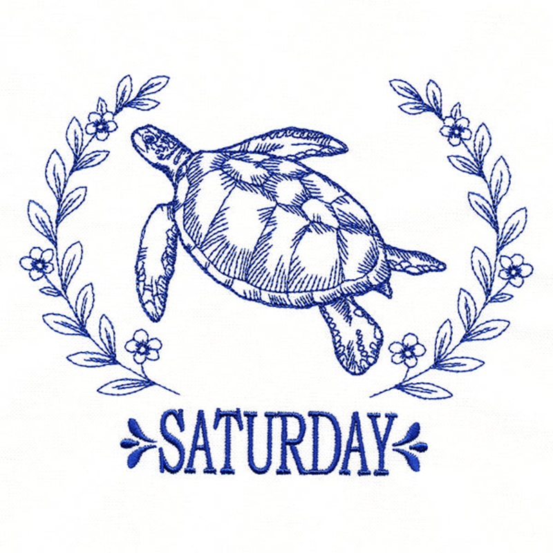 Coastal Sea Turtle on Saturday