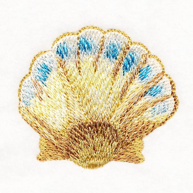 Enchanting Clam Shell in Watercolor