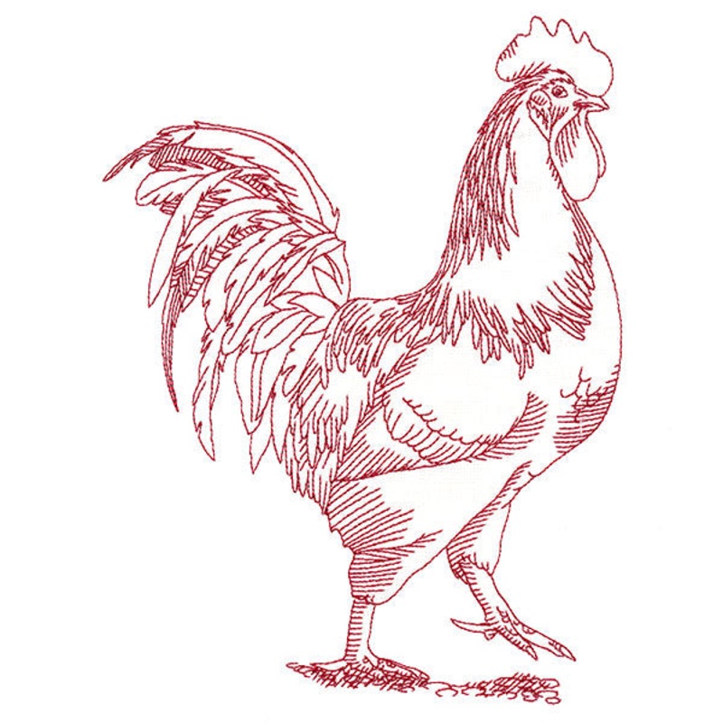 Barnyard Etchings – Rooster|8.98″ x 6.85″ / 228mm x 173.98mm|7.69″ x 5.87″ / 195.35mm x 149.08mm|6.99″ x 5.34″ / 177.57mm x 135.53mm|6.36″ x 4.85″ / 161.46mm x 123.21mm|All Sizes