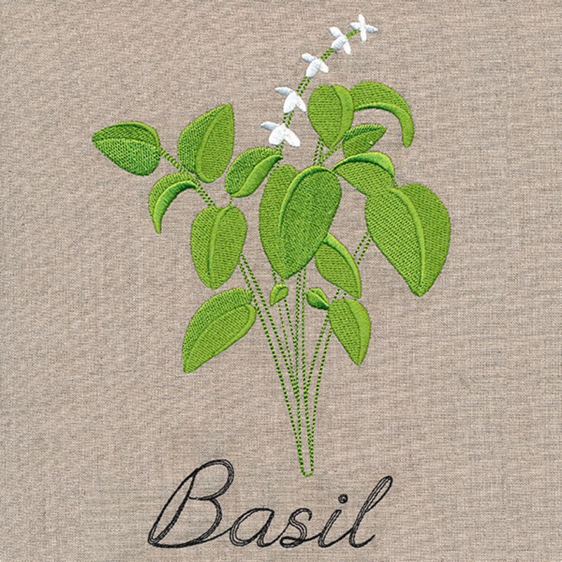 Botanical Herbs – Basil|8.88″ x 6.03″ / 225.66mm x 153.09mm|7.58″ x 5.14″ / 192.57mm x 130.62mm|6.86″ x 4.66″ / 174.25mm x 118.27mm|6.05″ x 4.11″ / 153.59mm x 104.28mm|3.45″ x 2.34″ / 87.58mm x 59.49mm|All Sizes