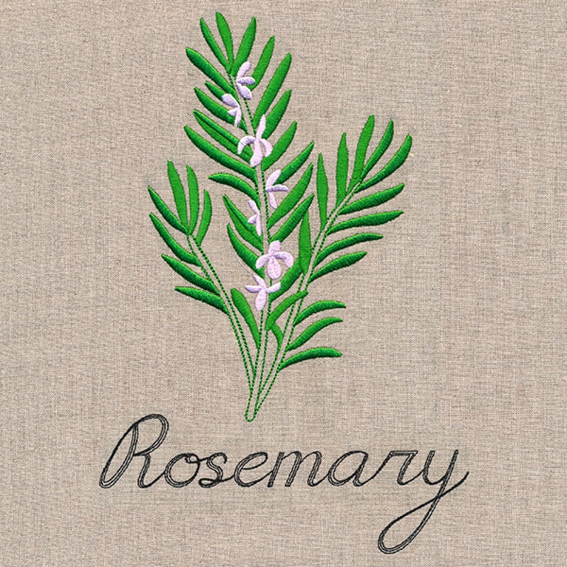 Botanical Herbs – Rosemary|10.08″ x 6.83″ / 255.92mm x 173.61mm|8.6″ x 5.83″ / 218.34mm x 148.13mm|7.78″ x 5.28″ / 197.56mm x 134.01mm|6.85″ x 4.65″ / 174.08mm x 118.11mm|3.87″ x 2.63″ / 98.34mm x 66.74mm|All Sizes