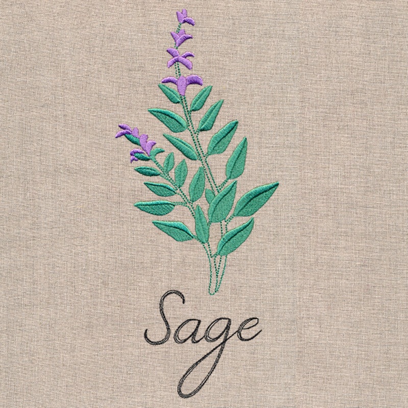 Botanical Herbs – Sage|10.07″ x 4.22″ / 255.69mm x 107.17mm|8.59″ x 3.6″ / 218.17mm x 91.44mm|7.77″ x 3.26″ / 197.43mm x 82.75mm|6.85″ x 2.87″ / 173.99mm x 72.93mm|3.87″ x 1.63″ / 98.31mm x 41.3mm|All Sizes