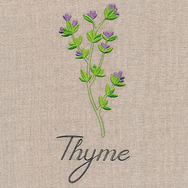 Botanical Herbs – Thyme|10.01″ x 4.13″ / 254.35mm x 104.98mm|8.54″ x 3.53″ / 217.02mm x 89.57mm|7.73″ x 3.19″ / 196.41mm x 81.06mm|6.82″ x 2.81″ / 173.11mm x 71.45mm|3.89″ x 1.6″ / 98.79mm x 40.72mm|All Sizes