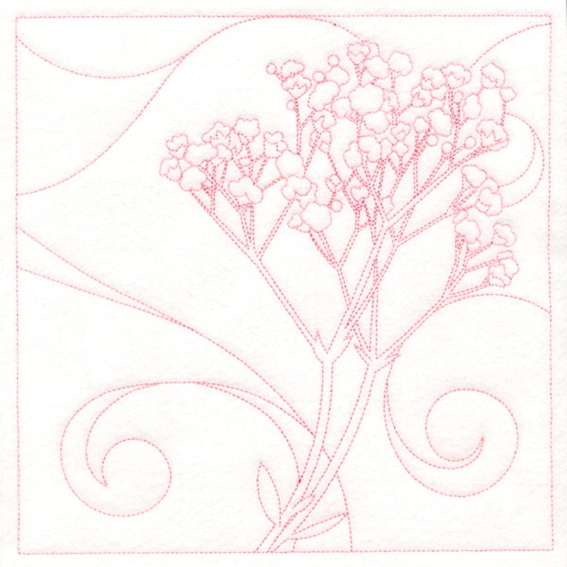 Delicate Wildflowers – Baby’s Breath