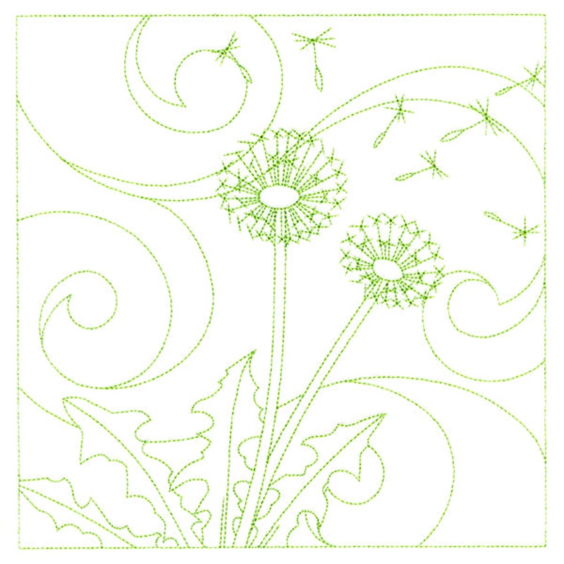 Delicate Wildflowers – Dandelion