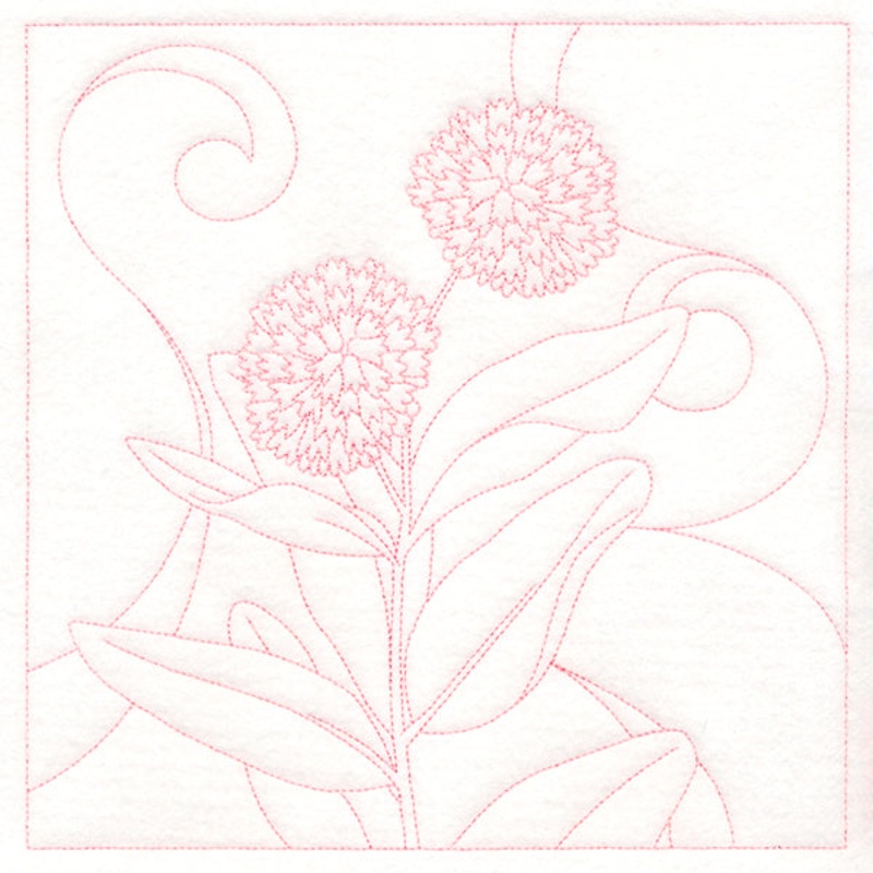 Delicate Wildflowers – Milkweed