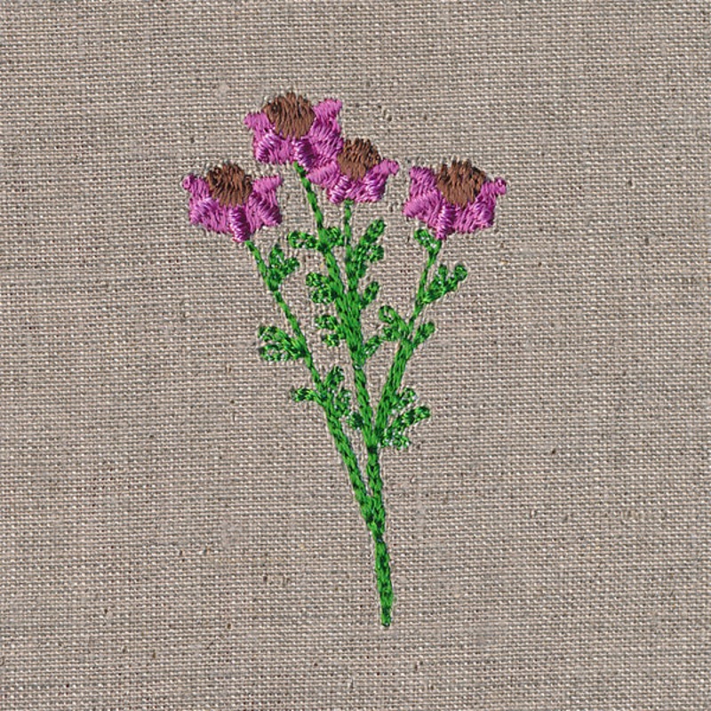 Delightful Wildflower 5|1.96″ x 1.14″ / 49.7mm x 28.97mm