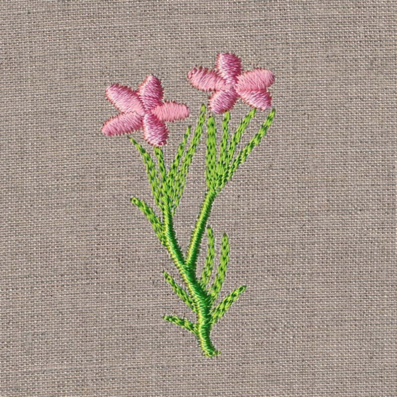 Delightful Wildflower 6|1.95″ x 1.13″ / 49.47mm x 28.6mm