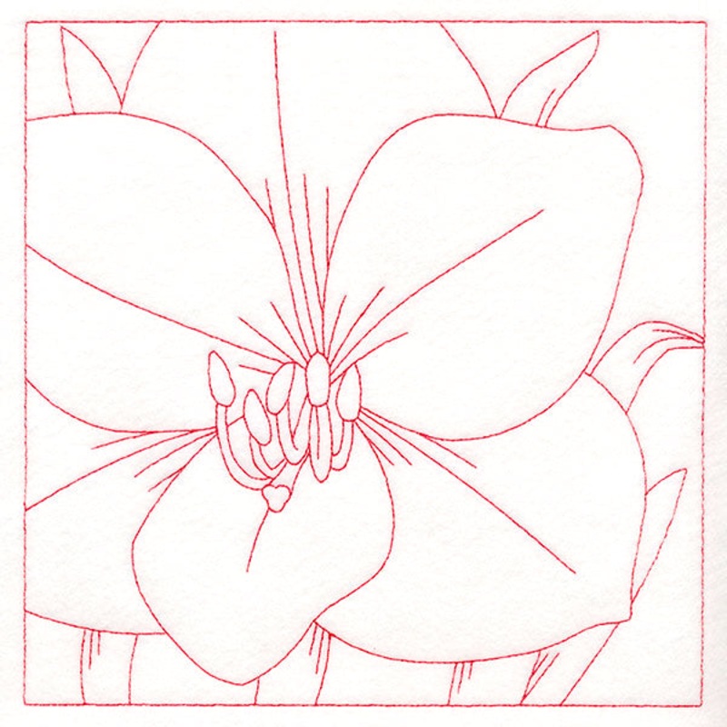 Festive Florals Quilting – Amaryllis (Double Run)