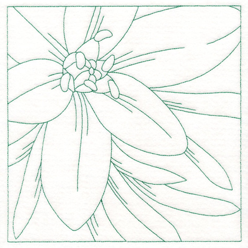 Festive Florals Quilting – Star of Bethlehem (Double Run)