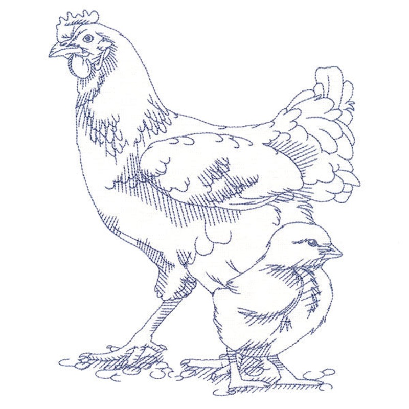 Barnyard Etchings – Hen and Chick