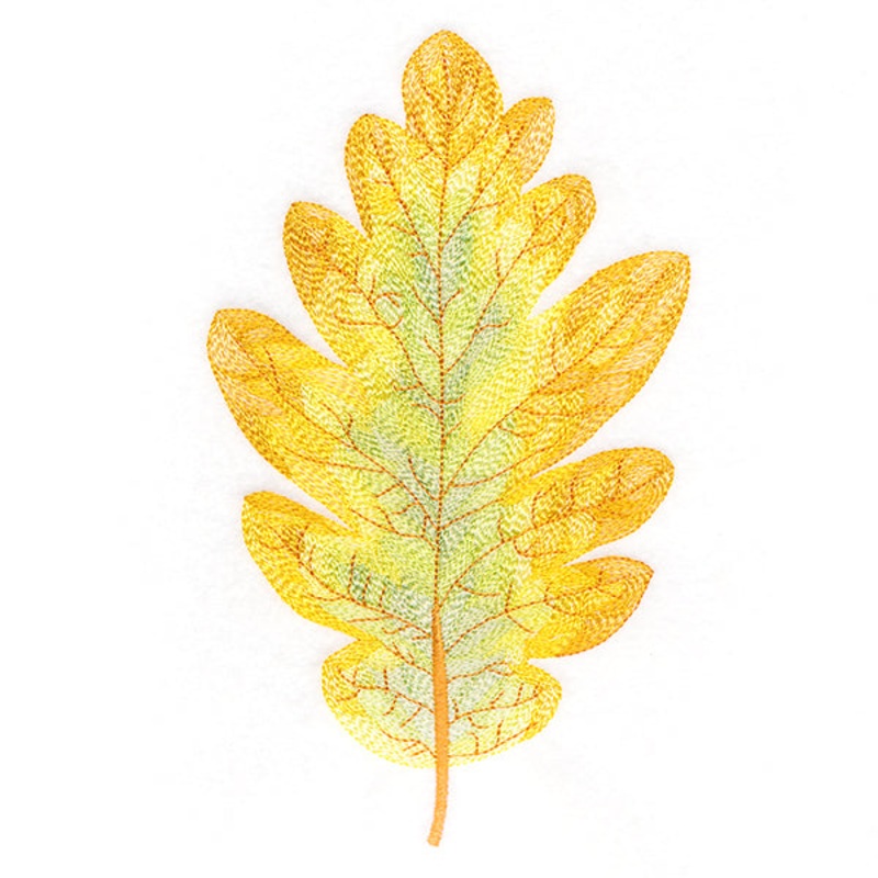 Exquisite Oak Leaf|7.8″ x 4.64″ / 198.17mm x 117.87mm|6.85″ x 4.07″ / 174.04mm x 103.48mm|5.85″ x 3.48″ / 148.64mm x 88.34mm|4.85″ x 2.89″ / 123.24mm x 73.28mm|3.85″ x 2.29″ / 97.84mm x 58.15mm|All Sizes