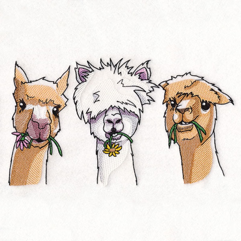 Sweet & Sassy Alpaca Trio|6.72″ x 11.75″ / 170.68mm x 298.45mm|5.38″ x 9.4″ / 136.55mm x 238.76mm|4.45″ x 7.79″ / 113.15mm x 197.83mm|3.92″ x 6.85″ / 99.5mm x 173.99mm|All Sizes