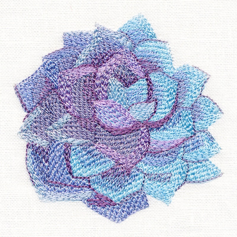 Sweet Succulent in Watercolor|3.09″ x 3.17″ / 78.6mm x 80.47mm|2.58″ x 2.64″ / 65.51mm x 67.06mm|All Sizes
