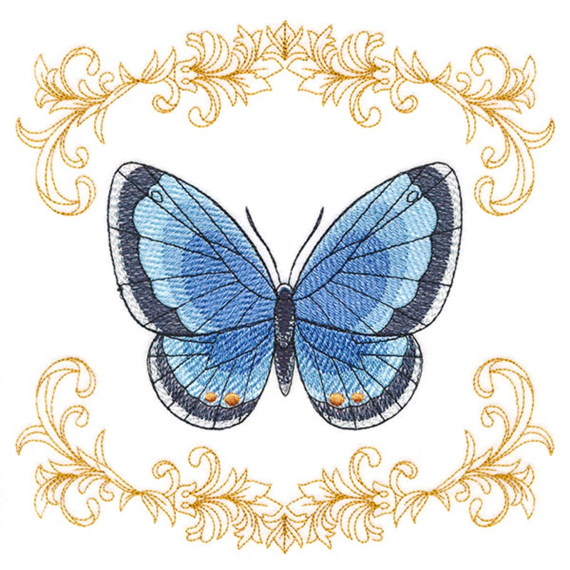Beautiful Butterfly in Filigree