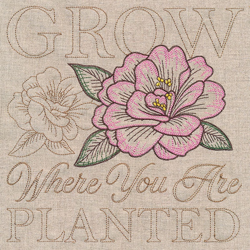 Blooming Peony Medley|7.74″ x 7.8″ / 196.6mm x 198.12mm|6.85″ x 6.9″ / 173.99mm x 175.26mm|5.85″ x 5.9″ / 148.59mm x 149.86mm|4.85″ x 4.89″ / 123.19mm x 124.21mm|All Sizes
