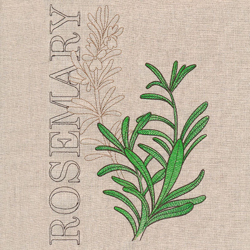 Fresh Rosemary Medley|10.06″ x 6.72″ / 255.48mm x 170.59mm|8.76″ x 5.85″ / 222.47mm x 148.55mm|7.8″ x 5.21″ / 198.12mm x 132.3mm|6.84″ x 4.57″ / 173.79mm x 116.05mm|All Sizes