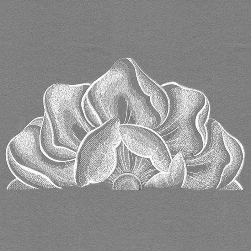 Blooming on the Edge Magnolia|6.48″ x 11.75″ / 164.59mm x 298.45mm|5.19″ x 9.4″ / 131.72mm x 238.83mm|4.31″ x 7.8″ / 109.43mm x 198.19mm|3.78″ x 6.85″ / 96.01mm x 174.05mm|All Sizes