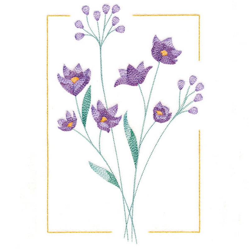 Dainty Blooms – Blue-Eyed Grass