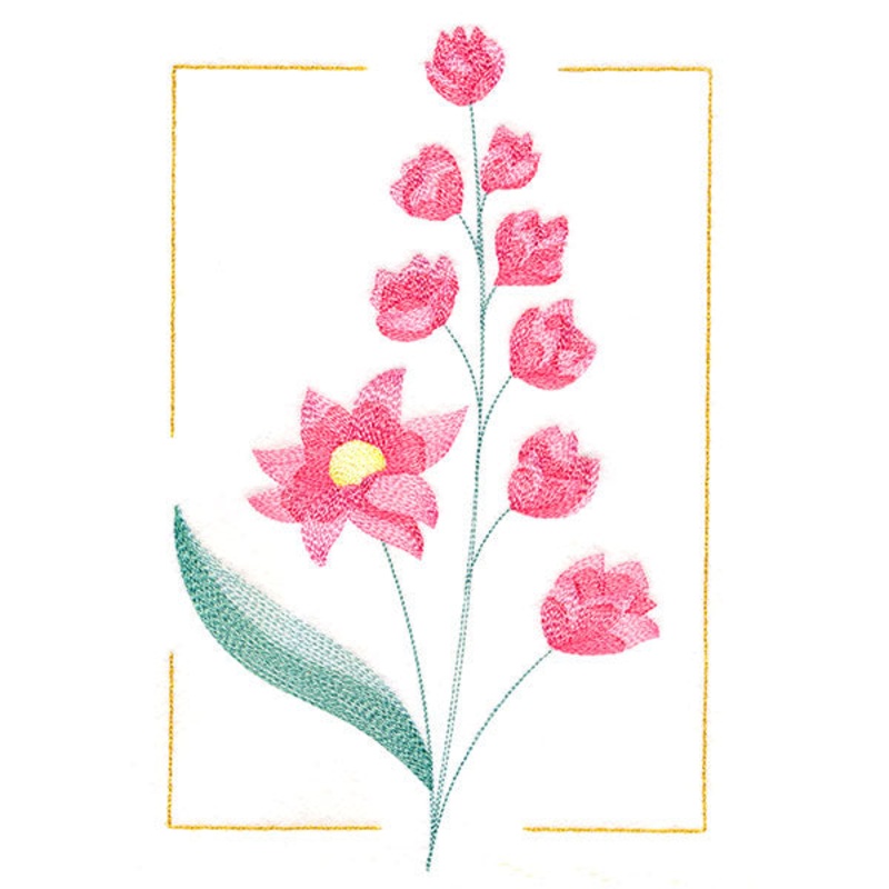 Dainty Blooms – Wild Hollyhock