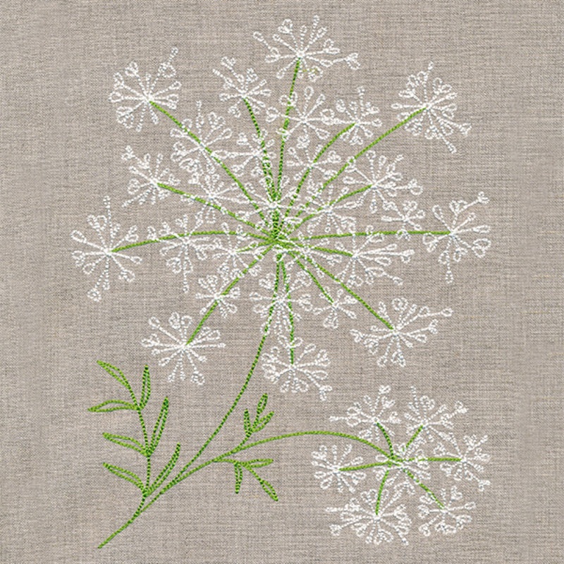 Dainty Queen Anne’s Lace|8.7″ x 6.86″ / 220.98mm x 174.24mm|7.43″ x 5.86″ / 188.77mm x 148.95mm|6.15″ x 4.85″ / 156.17mm x 123.27mm|3.9″ x 3.07″ / 99.01mm x 78.03mm|All Sizes