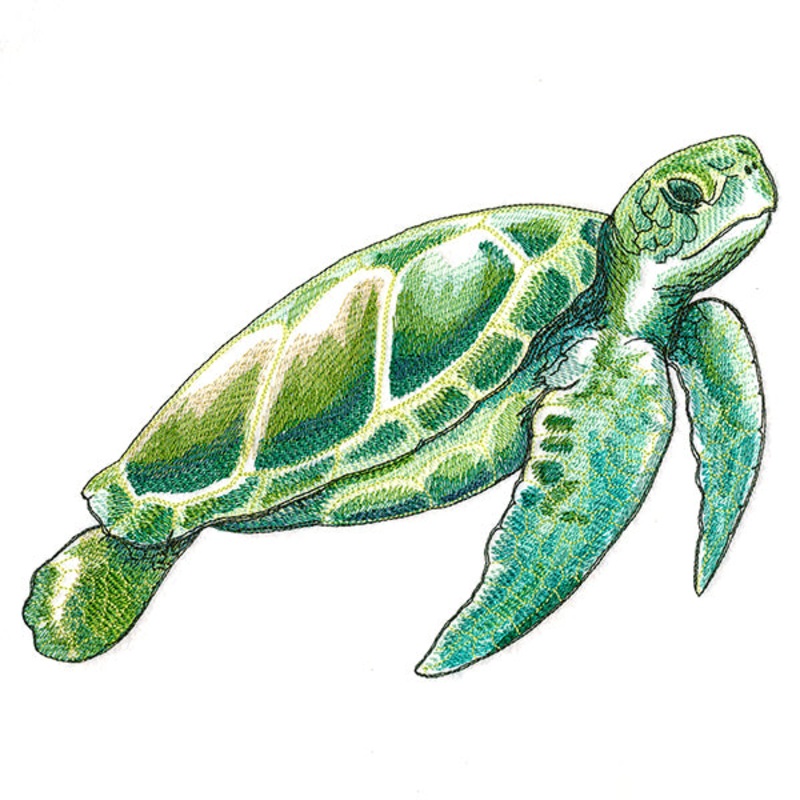 Coastal Sea Turtle|6.88″ x 9.62″ / 174.75mm x 244.35mm|5.55″ x 7.77″ / 141.09mm x 197.48mm|4.89″ x 6.85″ / 124.3mm x 173.97mm|All Sizes