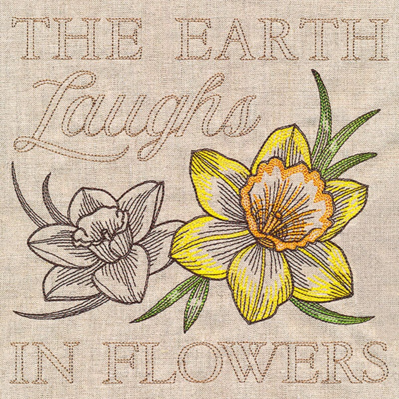 Delightful Daffodils Medley|7.51″ x 7.8″ / 190.67mm x 198.04mm|6.74″ x 7″ / 171.09mm x 177.7mm|5.86″ x 6.08″ / 148.77mm x 154.52mm|4.84″ x 5.03″ / 122.95mm x 127.7mm|All Sizes