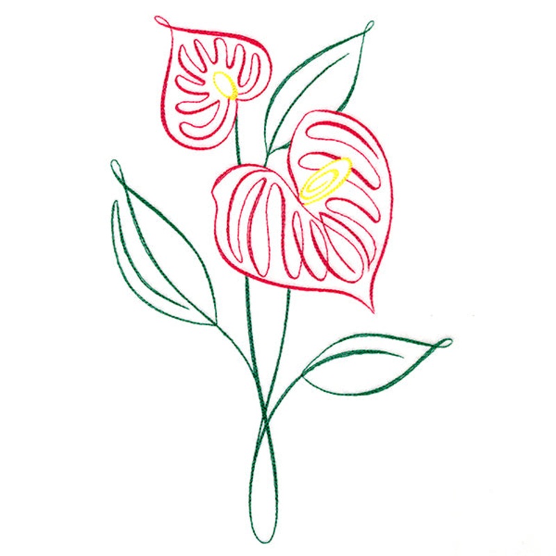 Tropical Calligraphy in Bloom – Anthurium