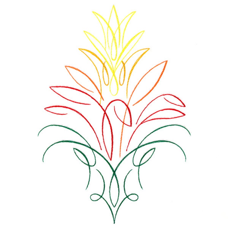 Tropical Calligraphy in Bloom – Bromeliad
