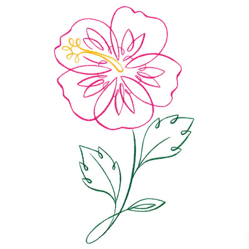 Tropical Calligraphy in Bloom – Hibiscus