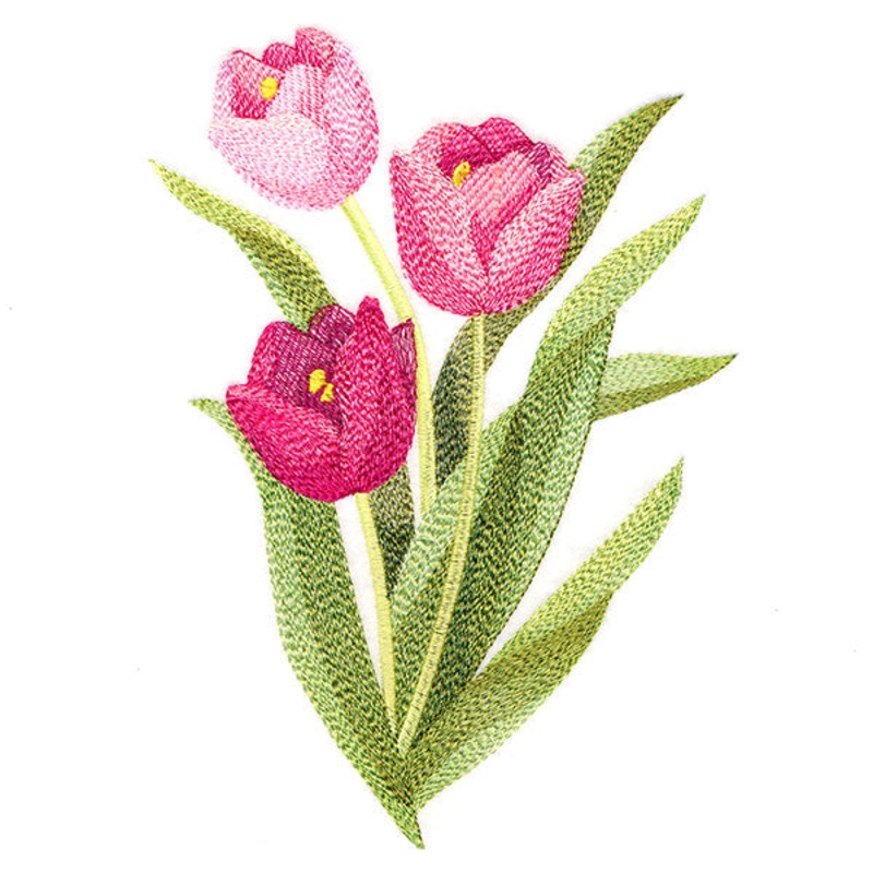 Truly Tulip Blooms|7.78″ x 5.68″ / 197.61mm x 144.31mm|6.64″ x 4.85″ / 168.69mm x 123.19mm|3.9″ x 2.92″ / 98.97mm x 74.19mm|All Sizes