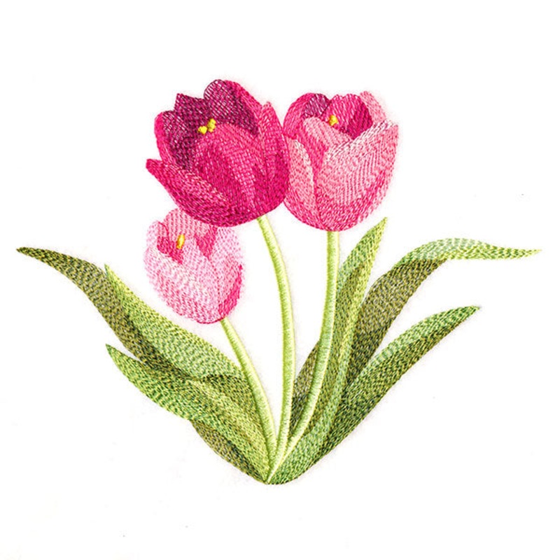 Truly Tulip Bunch|5.9″ x 7.57″ / 149.92mm x 192.32mm|5.06″ x 6.5″ / 128.55mm x 165.14mm|4.17″ x 5.36″ / 105.95mm x 136.1mm|All Sizes