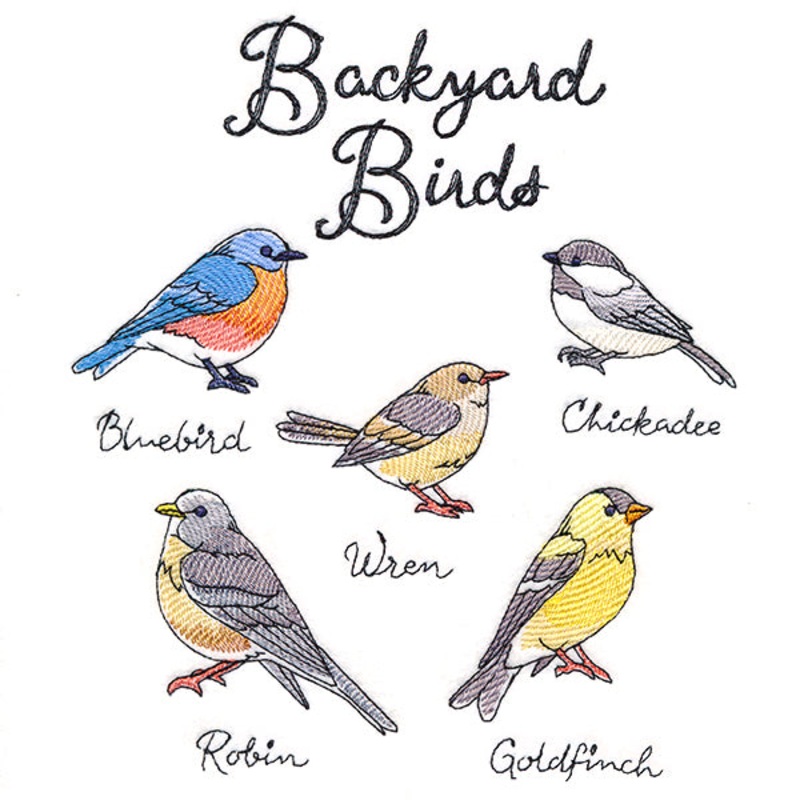 Backyard Birds|7.76″ x 6.84″ / 197.09mm x 173.85mm|6.63″ x 5.85″ / 168.32mm x 148.57mm|5.5″ x 4.83″ / 139.67mm x 122.77mm|All Sizes