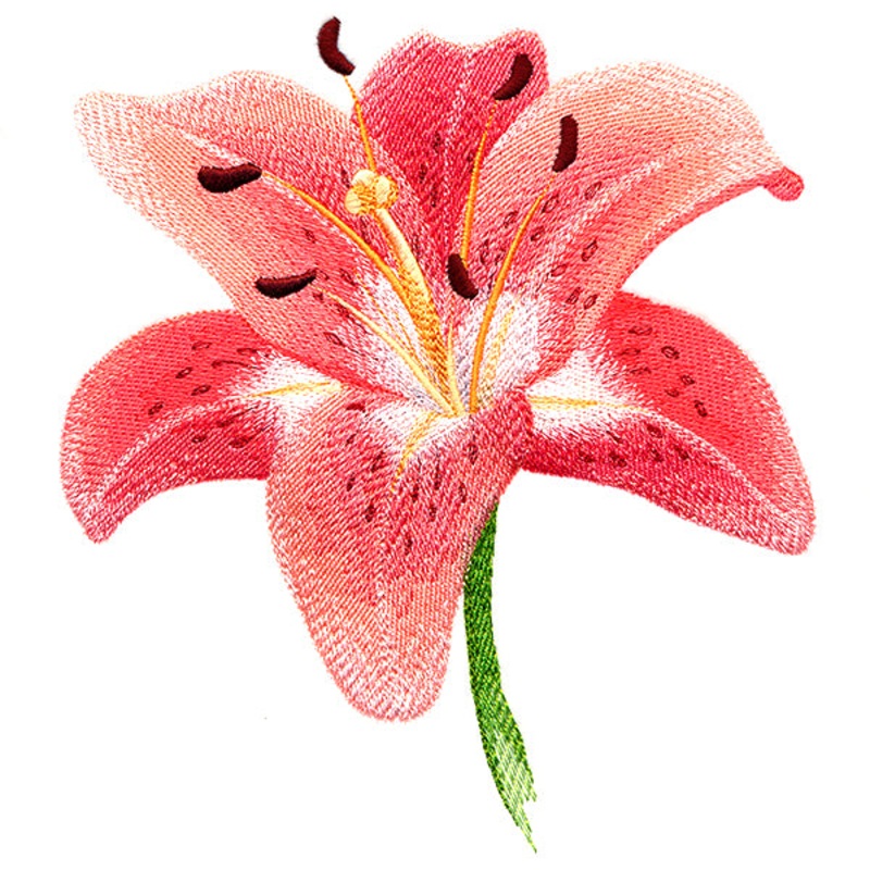 Lily in Bloom|7.69″ x 6.89″ / 195.33mm x 175.01mm|6.53″ x 5.86″ / 165.75mm x 148.77mm|5.4″ x 4.87″ / 137.18mm x 123.57mm|All Sizes
