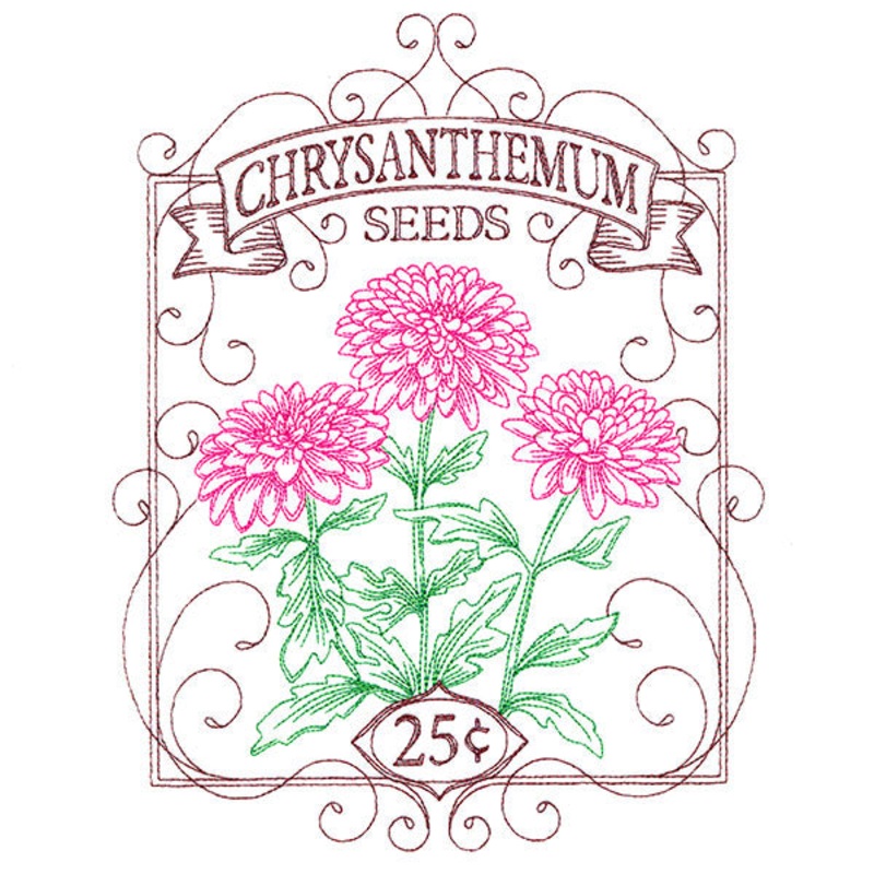 Chrysanthemum Seed Packet|8.75″ x 6.85″ / 222.25mm x 173.99mm|7.47″ x 5.85″ / 189.84mm x 148.53mm|6.19″ x 4.85″ / 157.35mm x 123.14mm|All Sizes