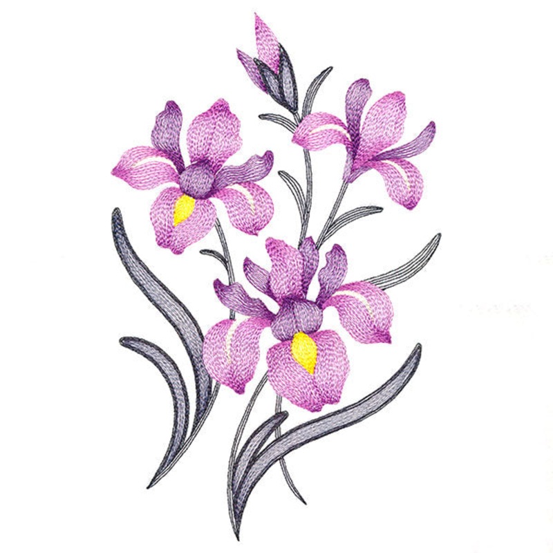 Flourishing Bouquet – Irises|10.79″ x 6.84″ / 274.07mm x 173.79mm|8.23″ x 5.22″ / 209.14mm x 132.62mm|7.49″ x 4.75″ / 190.13mm x 120.53mm|6.8″ x 4.31″ / 172.84mm x 109.59mm|All Sizes