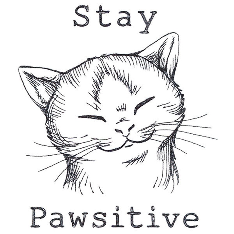 Stay Pawsitive Cat|7.57″ x 6.85″ / 192.36mm x 173.95mm|6.49″ x 5.87″ / 164.81mm x 149.02mm|5.9″ x 5.33″ / 149.79mm x 135.49mm|5.36″ x 4.85″ / 136.18mm x 123.16mm|All Sizes