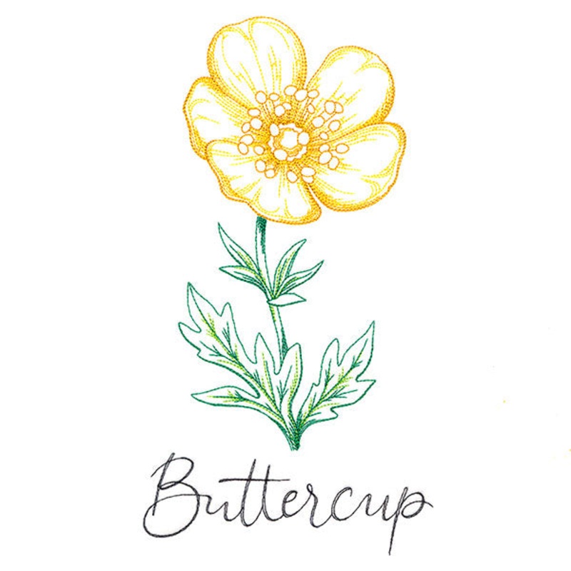 Wild Blooms – Buttercup|9.69″ x 5.25″ / 246.12mm x 133.27mm|8.31″ x 4.5″ / 211.09mm x 114.3mm|7.55″ x 4.09″ / 191.89mm x 103.87mm|6.87″ x 3.72″ / 174.45mm x 94.47mm|All Sizes