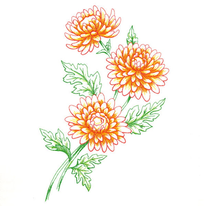 Wild Chrysanthemum Bouquet|10.27″ x 6.85″ / 260.86mm x 173.99mm|8.77″ x 5.85″ / 222.68mm x 148.55mm|7.8″ x 5.2″ / 198.12mm x 132.17mm|6.85″ x 4.57″ / 173.99mm x 116.04mm|All Sizes